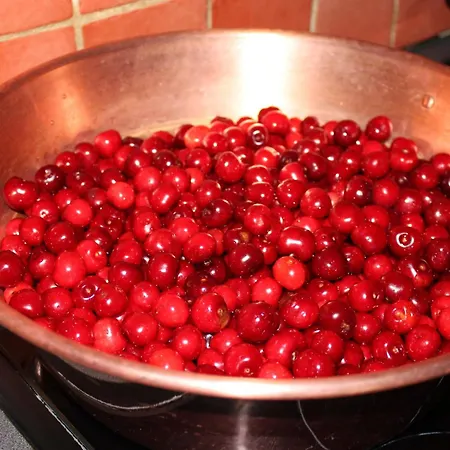 בית נופש D'hotes Leone Haute