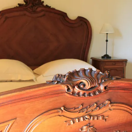 בית נופש D'hotes Leone Haute Saint-Avit-Rivière