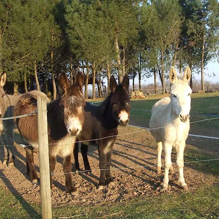 D'hotes Leone Haute בית נופש Saint-Avit-Rivière