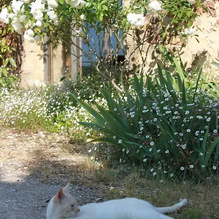 בית נופש D'hotes Leone Haute Saint-Avit-Rivière