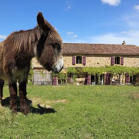 D'hotes Leone Haute Saint-Avit-Rivière