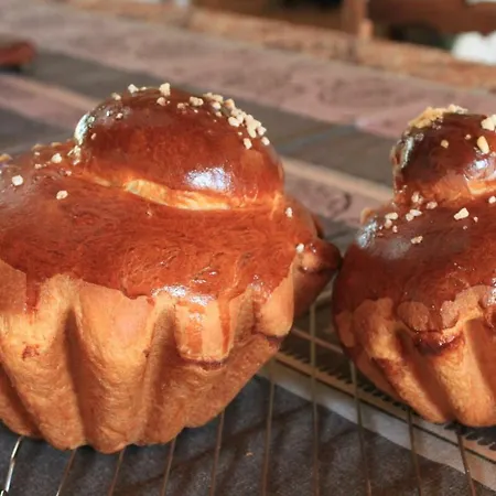 D'hotes Leone Haute * Saint-Avit-Rivière