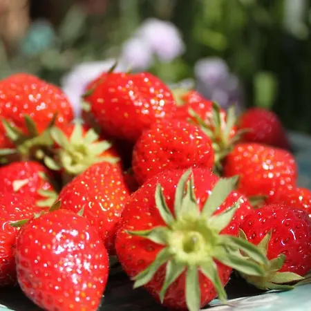 D'hotes Leone Haute Saint-Avit-Rivière