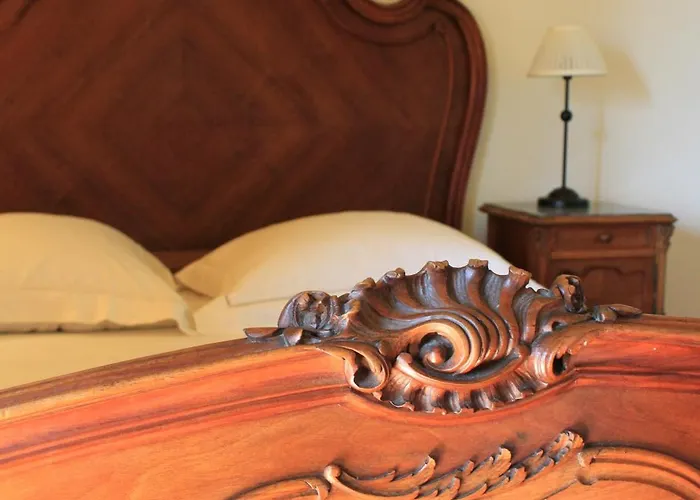 Tatil Evi D'hotes Leone Haute Saint-Avit-Rivière