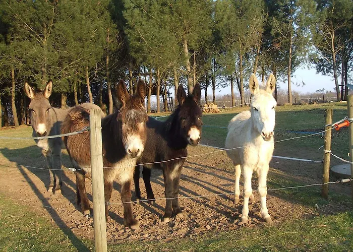 D'hotes Leone Haute Tatil Evi Saint-Avit-Rivière