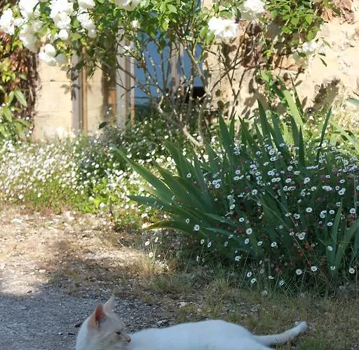 Tatil Evi D'hotes Leone Haute Saint-Avit-Rivière