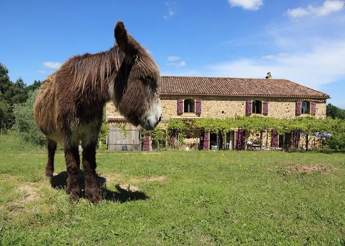 D'hotes Leone Haute Saint-Avit-Rivière