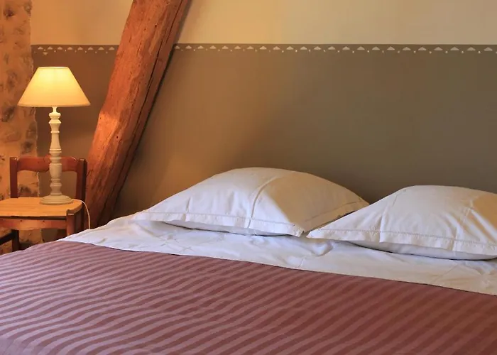 D'hotes Leone Haute * Saint-Avit-Rivière