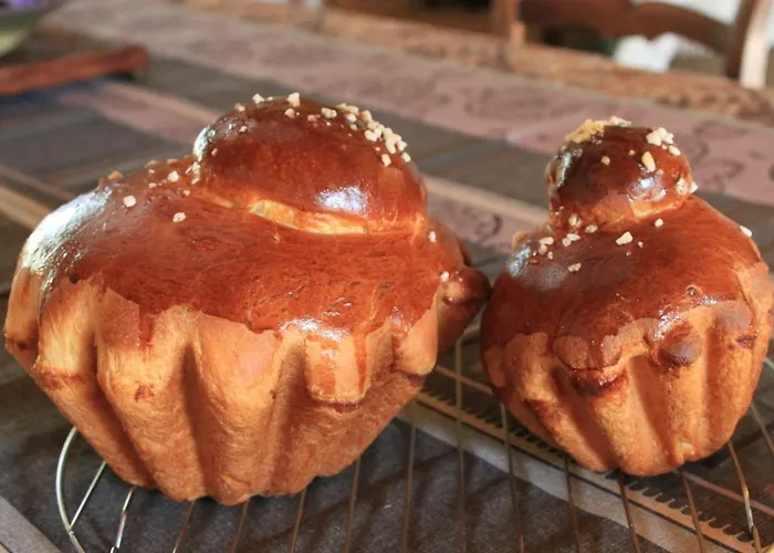 D'hotes Leone Haute * Saint-Avit-Rivière