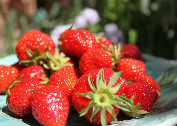 D'hotes Leone Haute Saint-Avit-Rivière